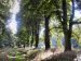 03_Baumallee_Bassenheim