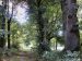 09_Baumallee_Bassenheim