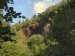 14_Baumallee_Bassenheim