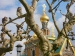 Russische_Kapelle_Darmstadt