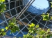 Zeil_Frankfurt_am_Main