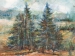 Hohes_Venn_06