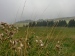 CIMG9153_M