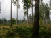 CIMG9164_M