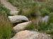 CIMG9167_M