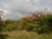 CIMG9171_M