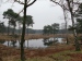 03_Ravenvenn_Lomm_NL
