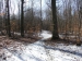 20_Im_Koblenzer_Stadtwald