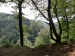 30_Oberhalb-des-Wiedtals