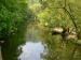 33_Wied