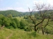 35_Oberhalb-Rheinbrohl